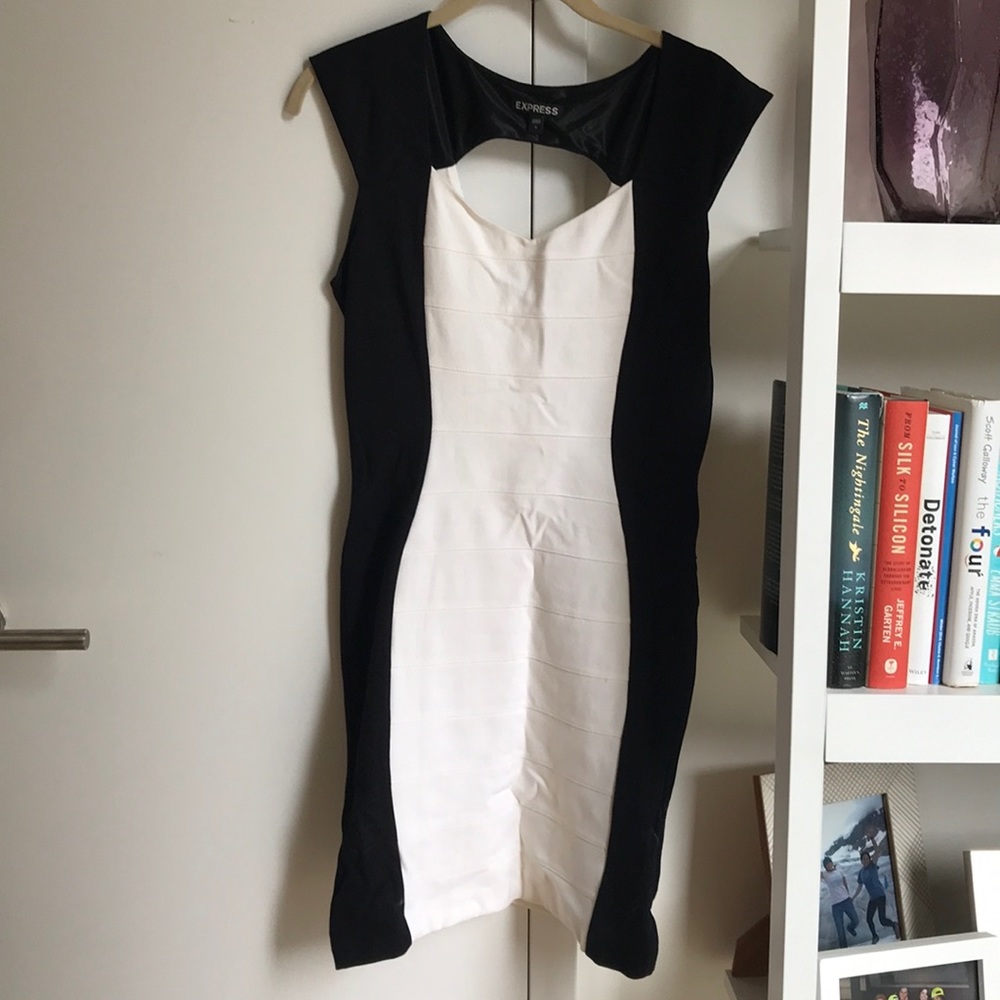Express bodycon dress